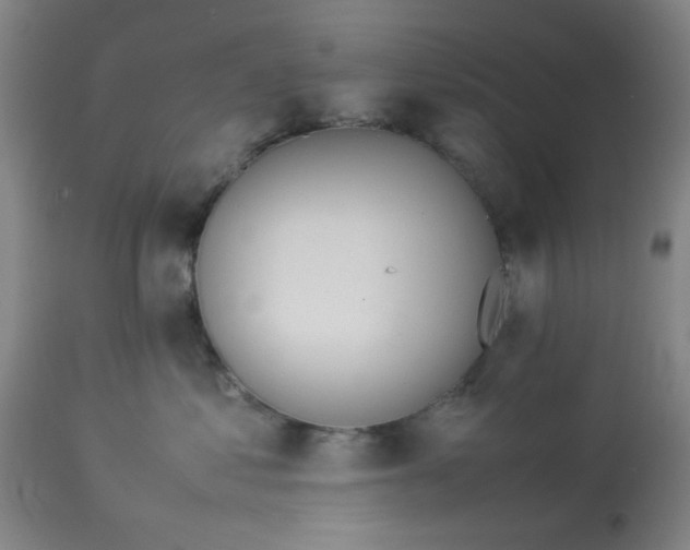 X0000113620621200910091533