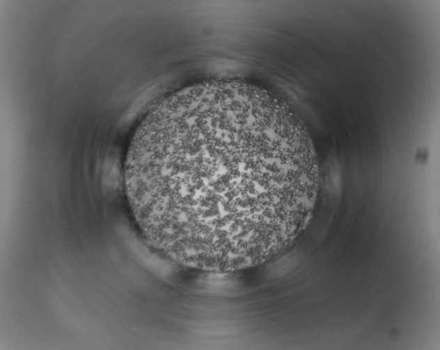 X0000113620622200910091533