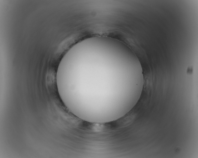 X0000113620623200910091533