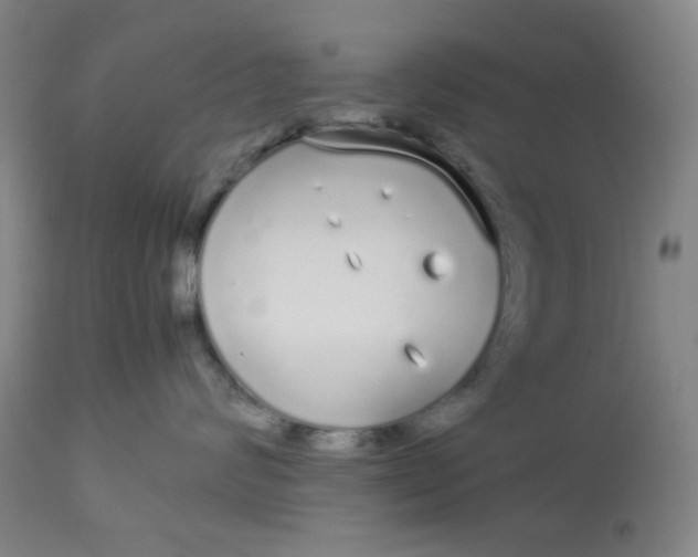 X0000113620624200910091533