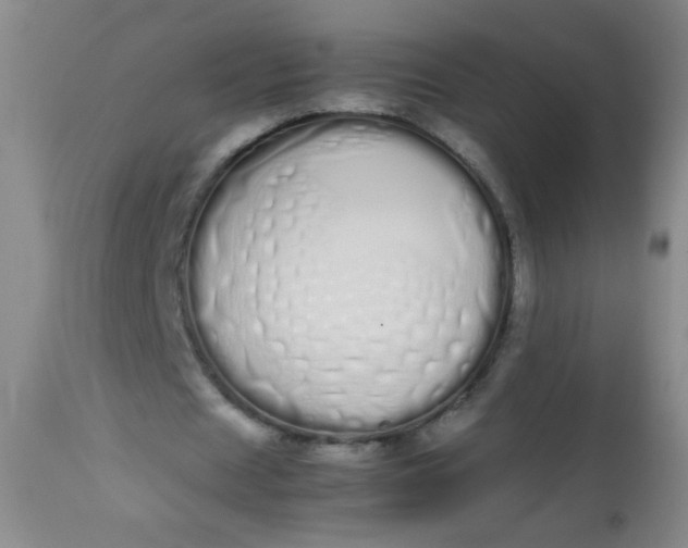 X0000113620625200910091532
