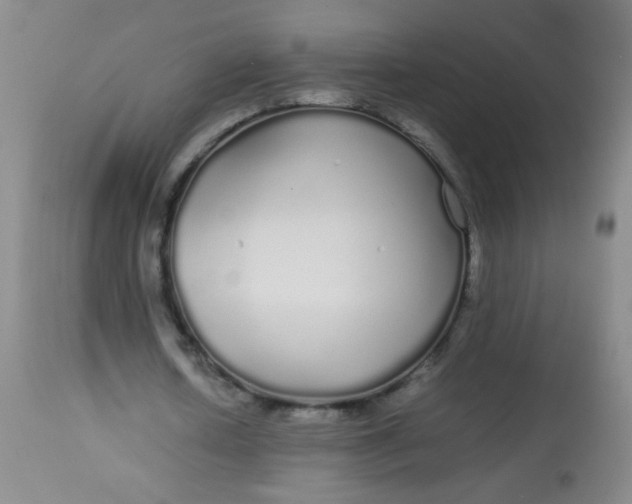 X0000113620626200910091532