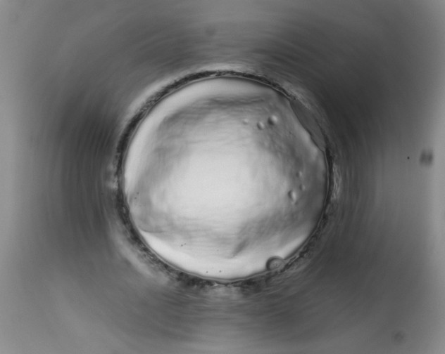 X0000113620628200910091532