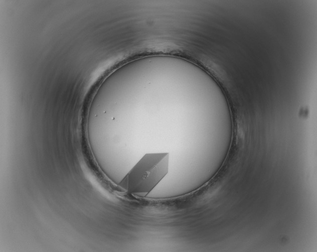 X0000113620630200910091532