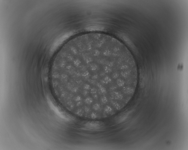 X0000113620631200910091532
