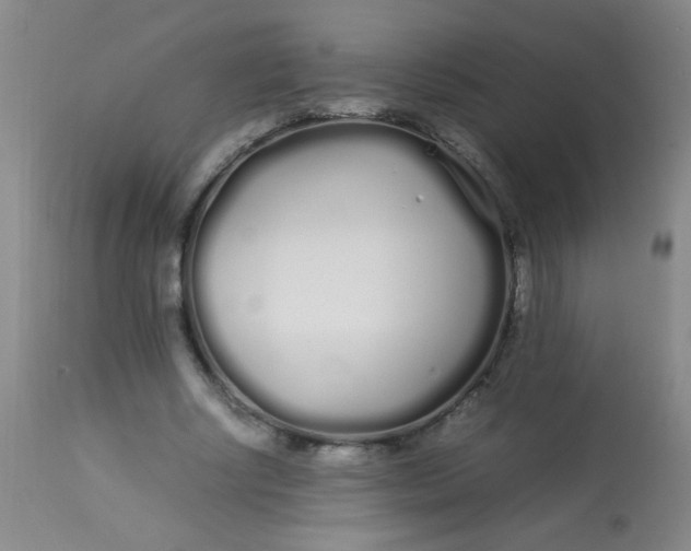 X0000113620634200910091532