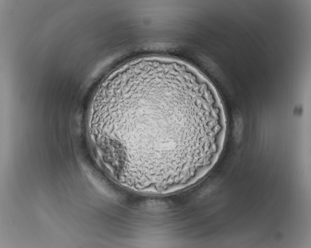 X0000113620636200910091532