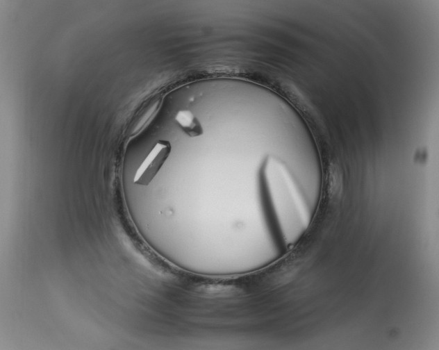 X0000113620637200910091532