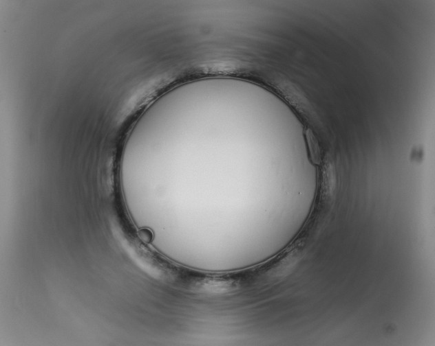X0000113620638200910091532