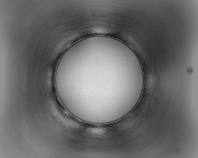 X0000113620639200910091532
