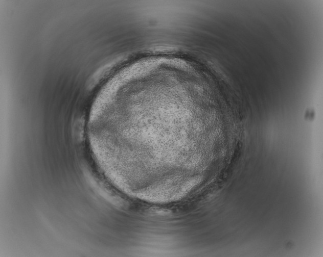 X0000113620640200910091532