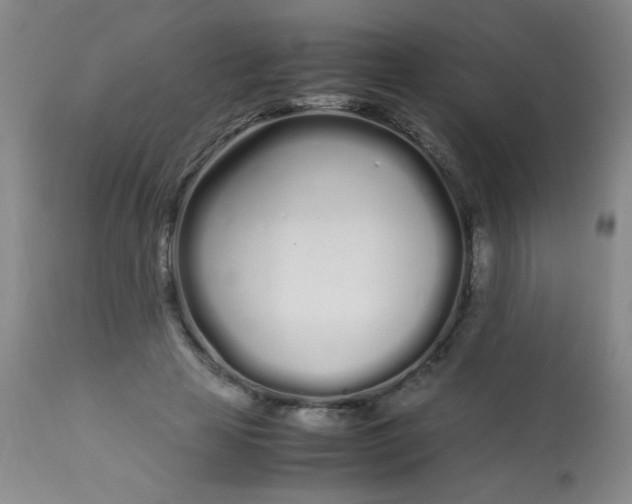 X0000113620641200910091532