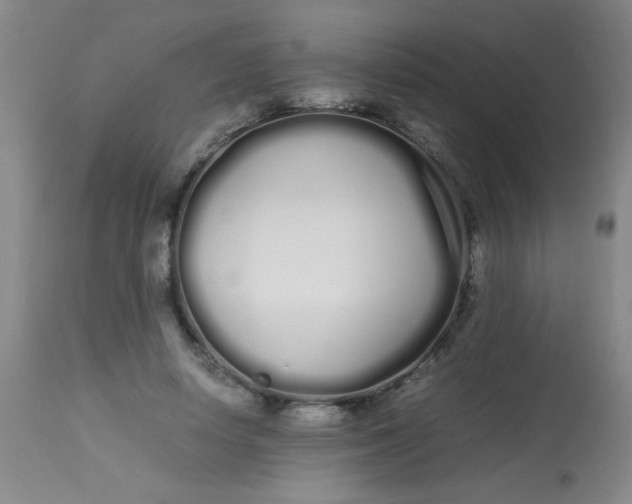 X0000113620642200910091532