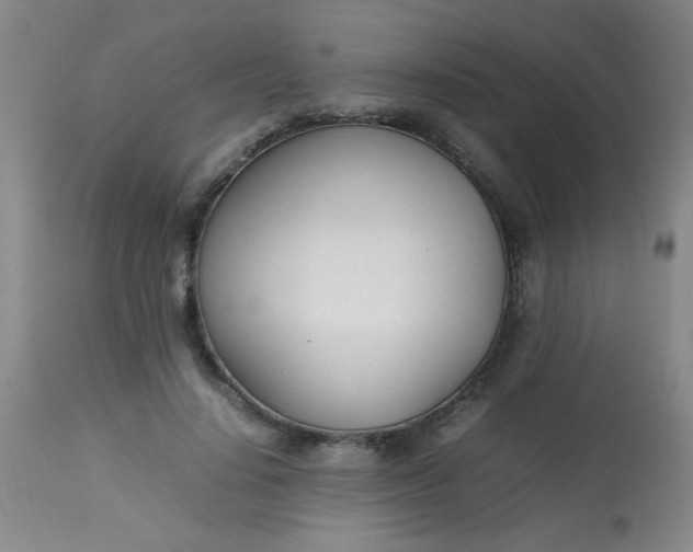 X0000113620644200910091532