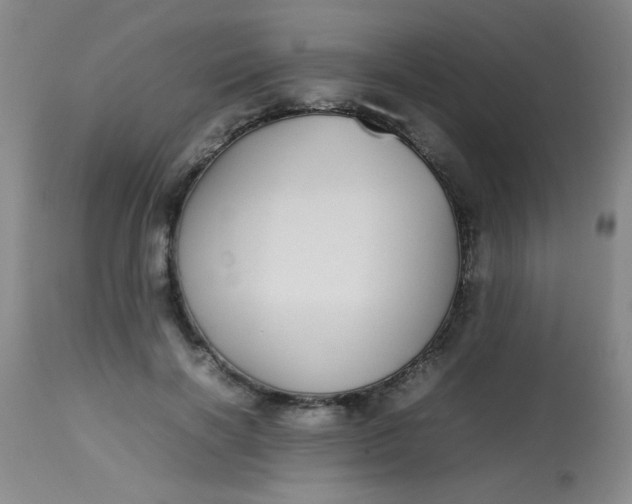 X0000113620646200910091532