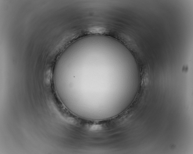 X0000113620647200910091532