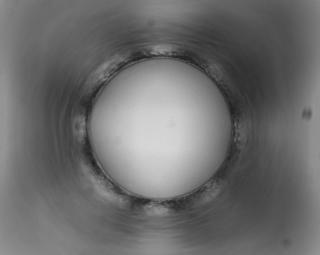 X0000113620648200910091532