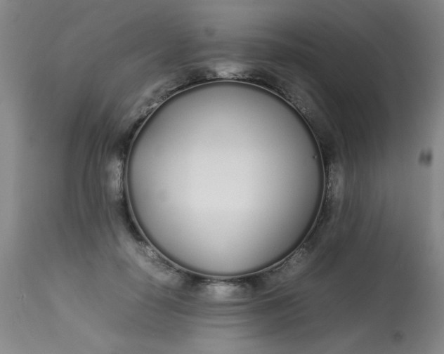X0000113620650200910091532
