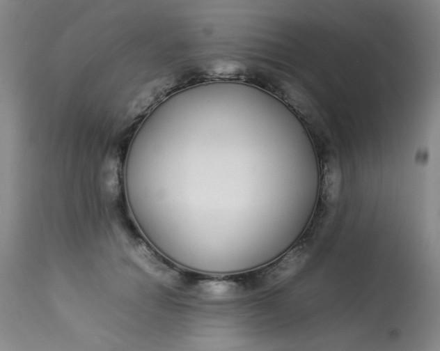 X0000113620654200910091532
