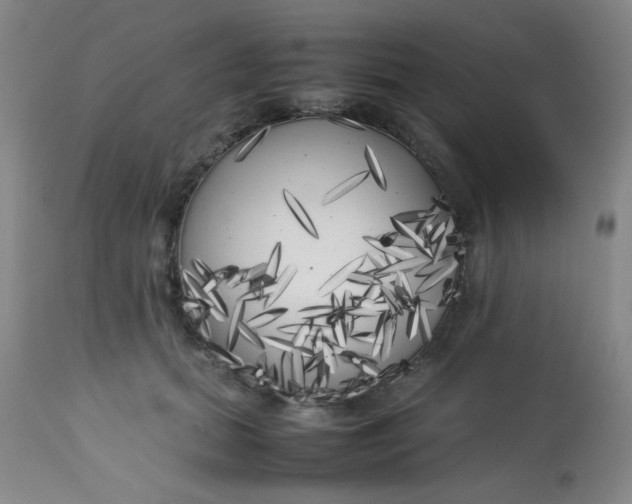 X0000113620655200910091532
