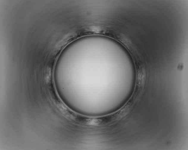 X0000113620656200910091532