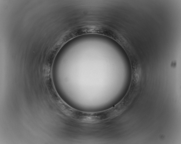 X0000113620657200910091532