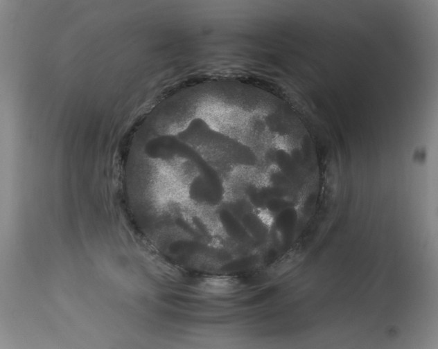 X0000113620659200910091532