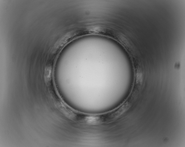 X0000113620660200910091532
