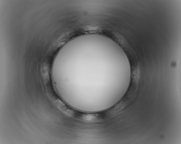 X0000113620662200910091532