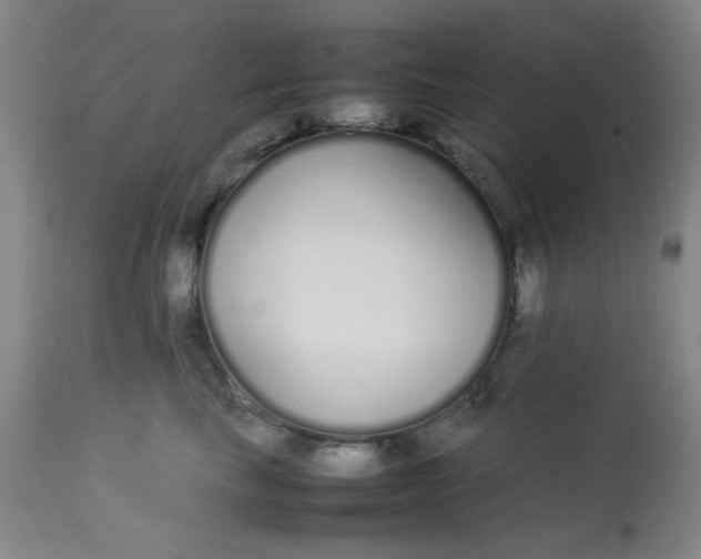 X0000113620665200910091532