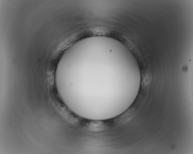 X0000113620666200910091532