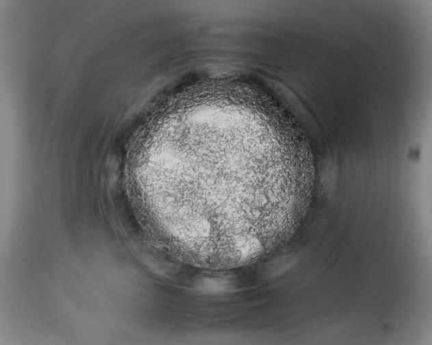 X0000113620667200910091532