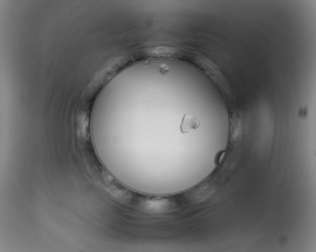 X0000113620669200910091533