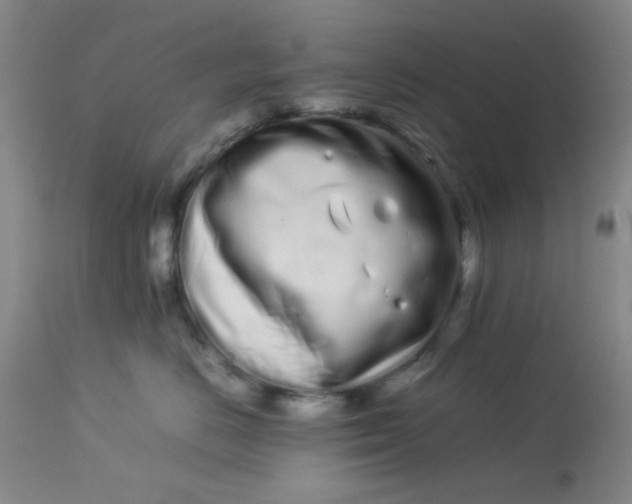 X0000113620670200910091533