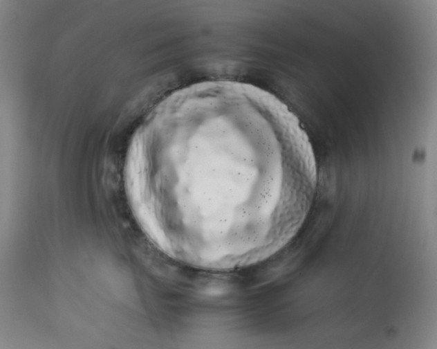 X0000113620671200910091533
