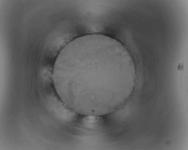 X0000113620672200910091533