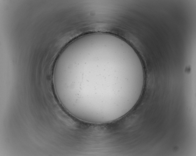 X0000113620673200910091532