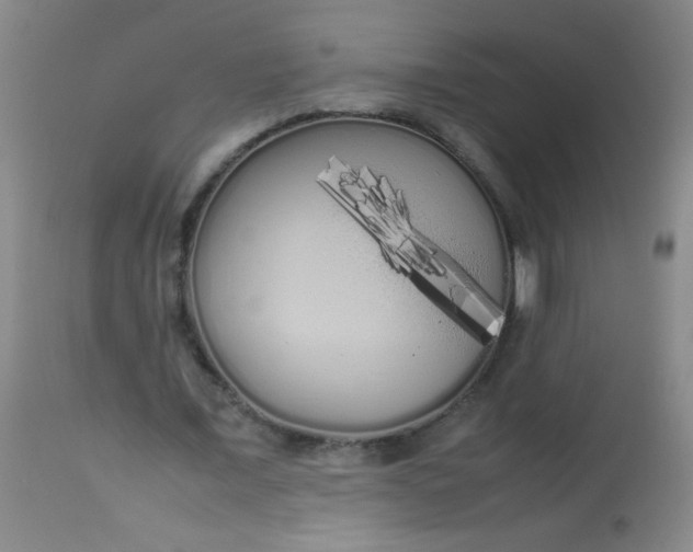 X0000113620675200910091532