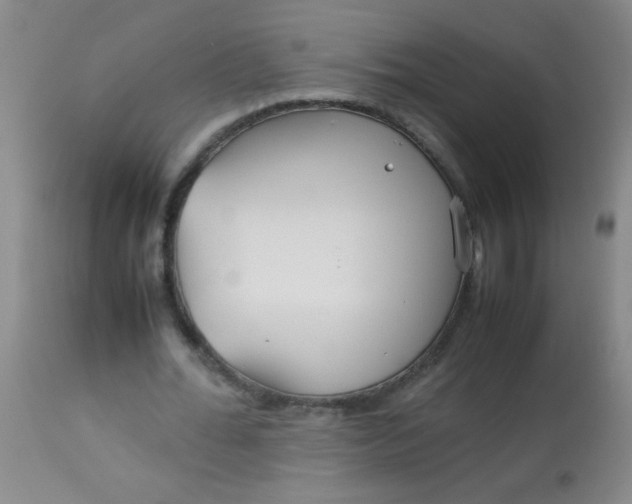X0000113620676200910091532