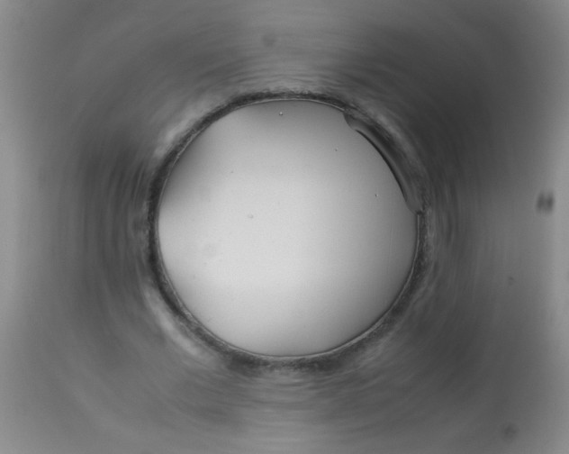 X0000113620677200910091532