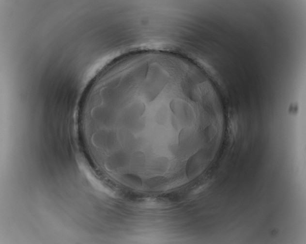 X0000113620678200910091532