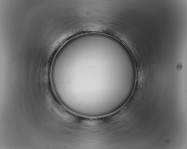 X0000113620679200910091532