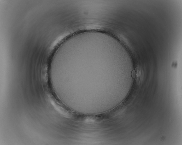 X0000113620684200910091532