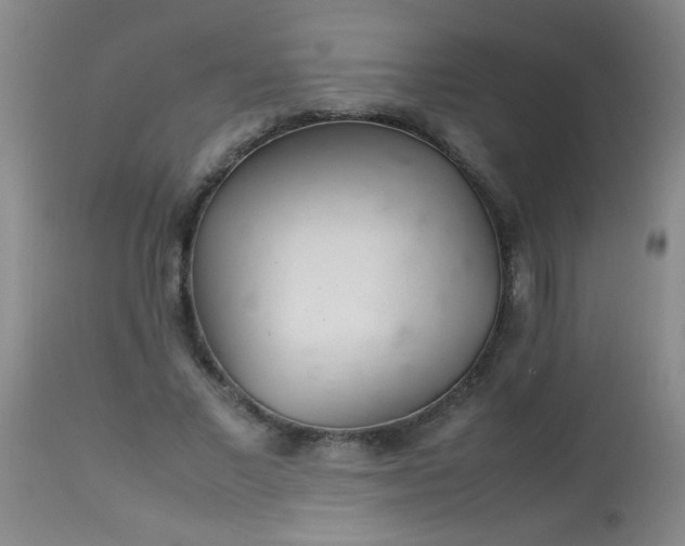 X0000113620685200910091532