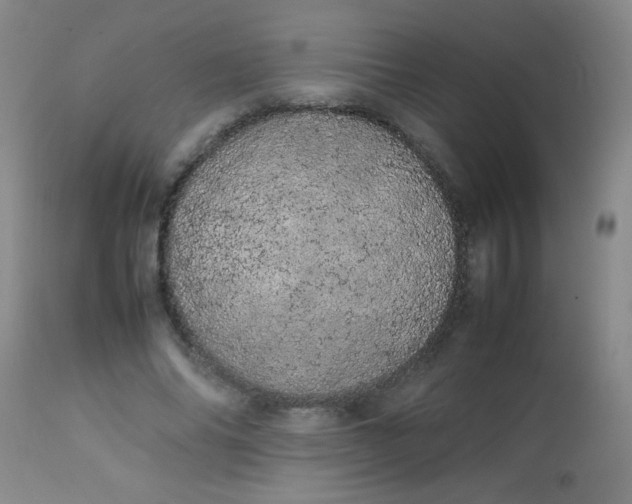 X0000113620686200910091532