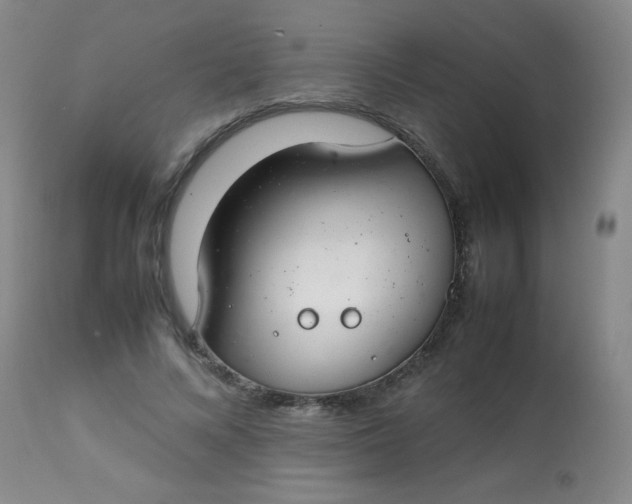 X0000113620688200910091532