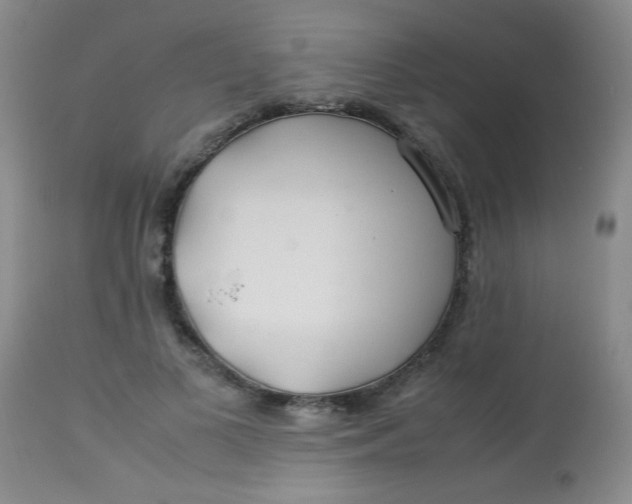 X0000113620693200910091531