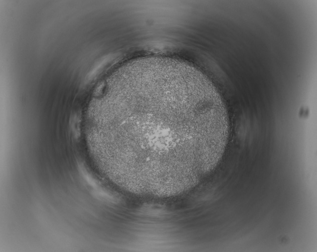 X0000113620694200910091531