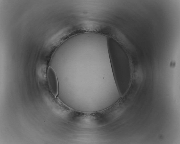 X0000113620696200910091531