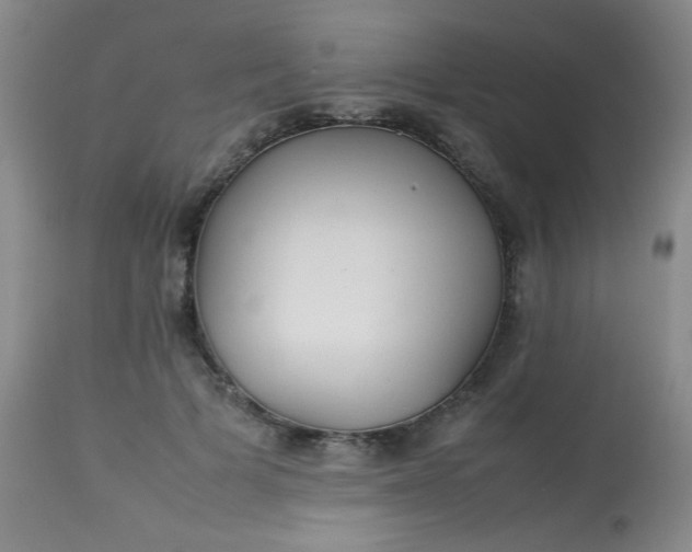 X0000113620697200910091531